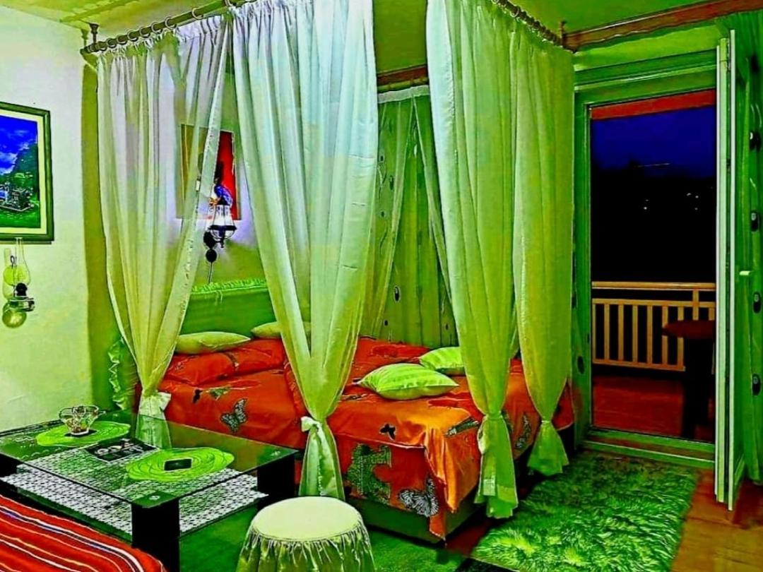 Gs ***** Apartmán Zavidovici
